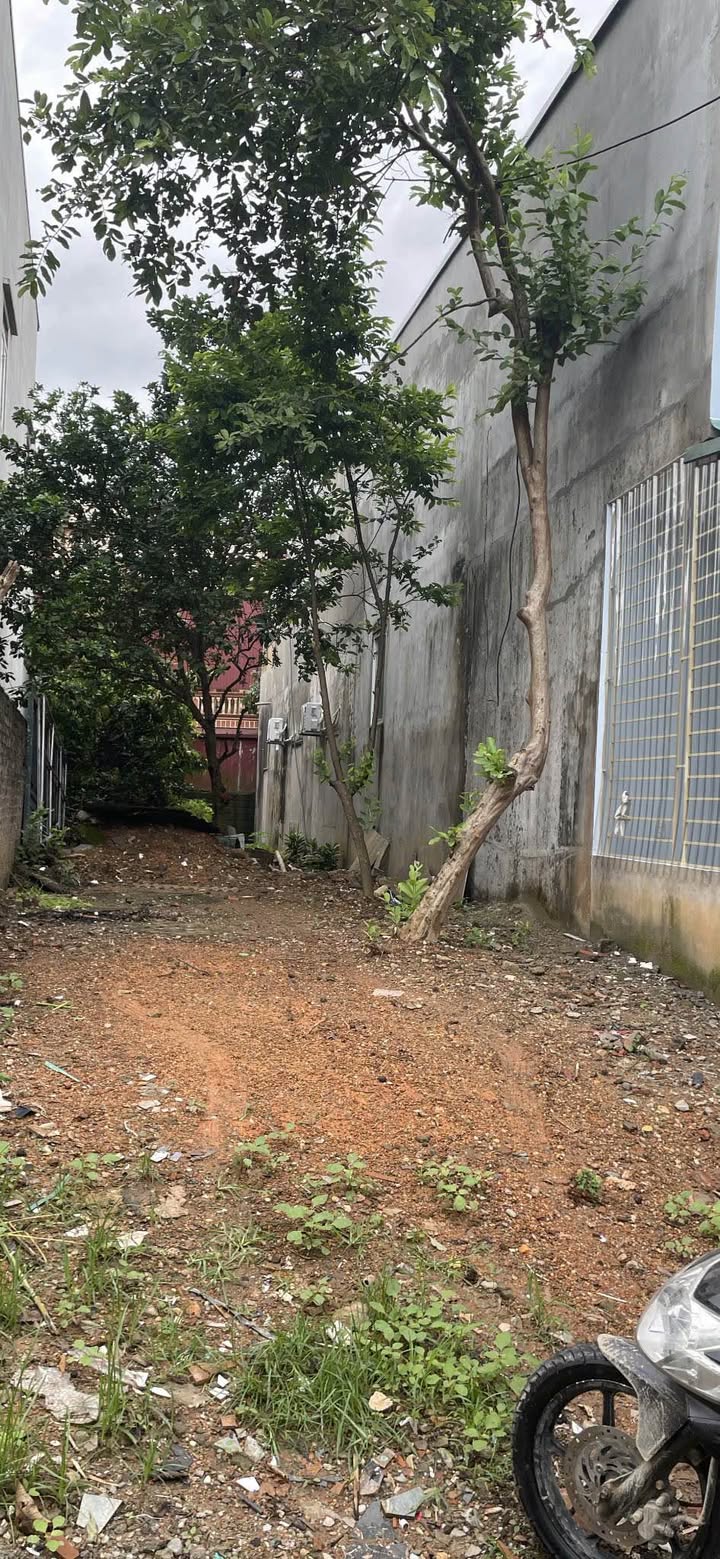 Đất ở Trung Môn, Yên Sơn 107.8m² giá chỉ 1.68 tỷ - Vị trí đắc địa!