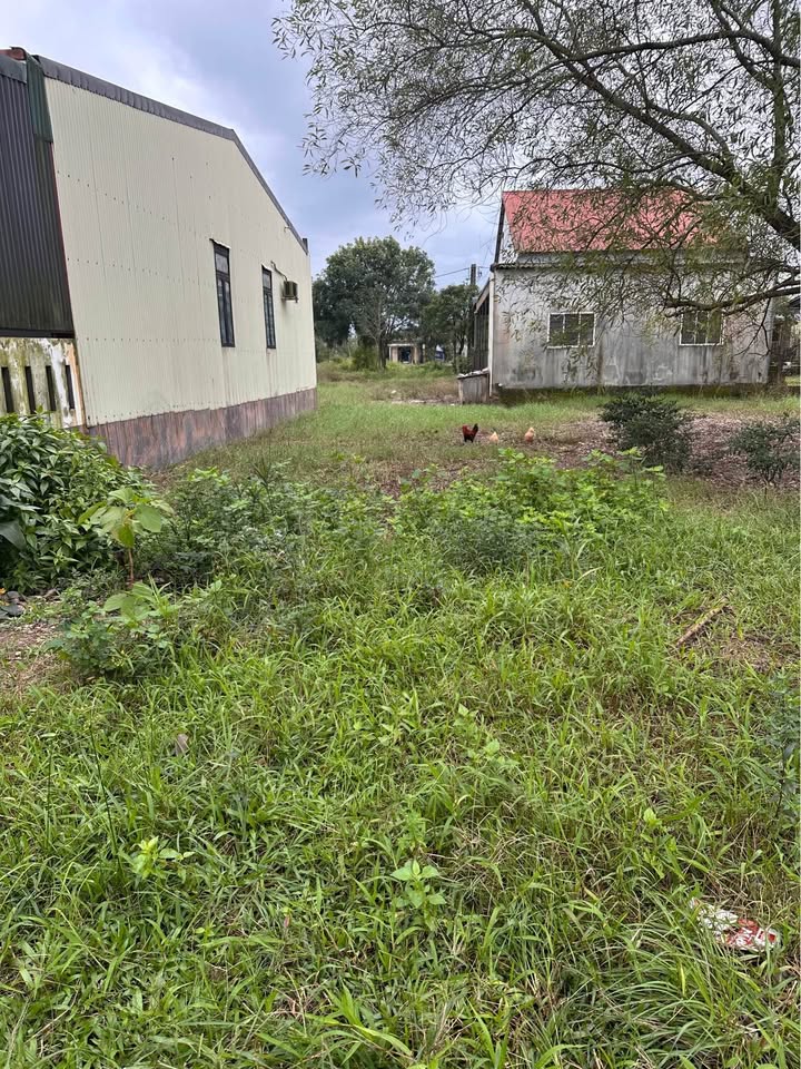 Đất nền Diên Sanh 141m² giá thỏa thuận - Khu dân cư văn minh, cao ráo