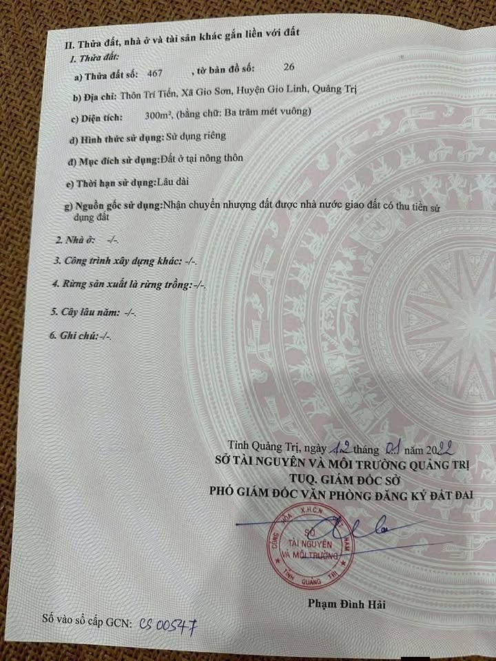 Lô đất đấu giá tại xã Gio Sơn – Gio Linh 300m² - Cần bán gấp!