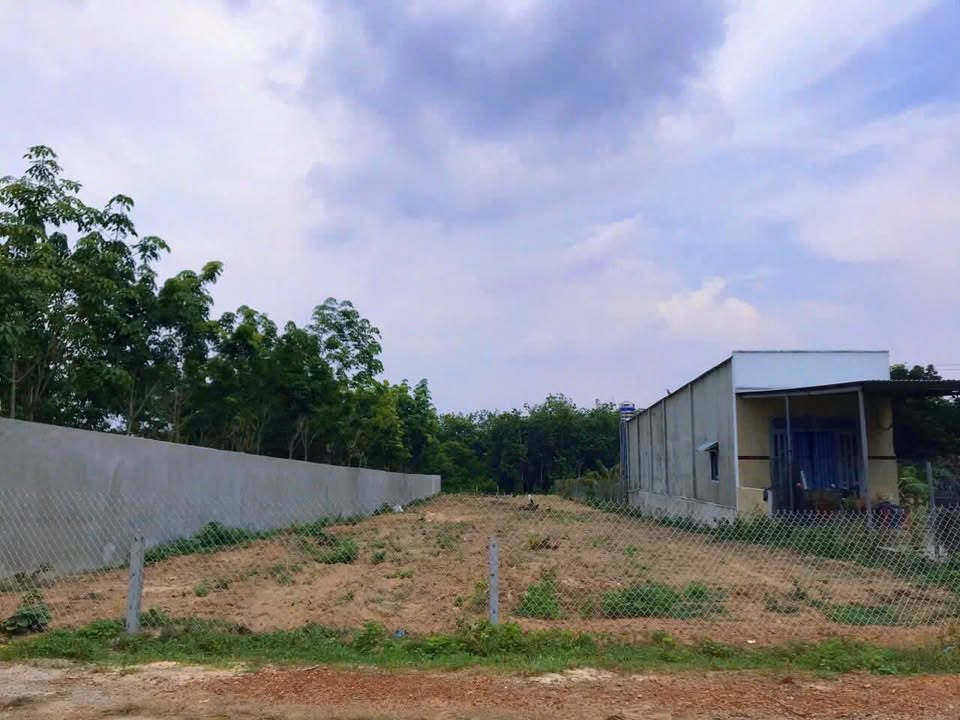 Đất nền Bàu Sen, Dầu Tiếng 1425m² - Đường container tới đất Hùng