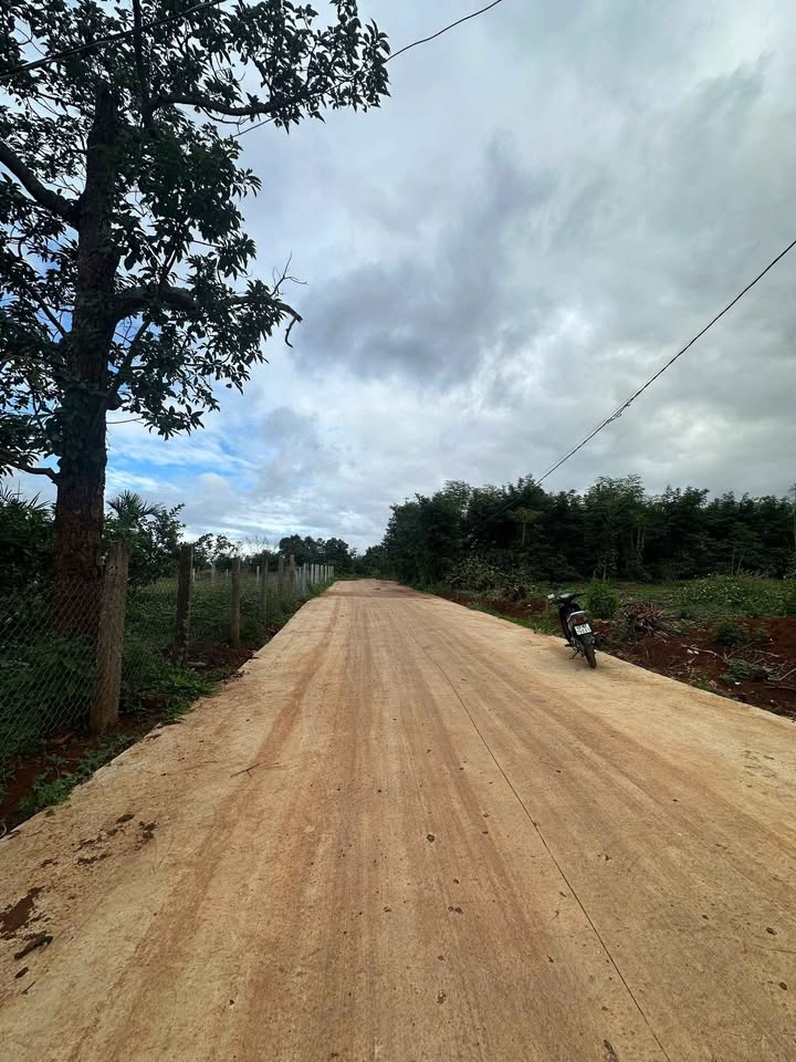 Đất nền hẻm Giải Phóng Buôn Ma Thuột 1760m² giá 3.995 tỷ - Đầu tư sinh lời ngay!