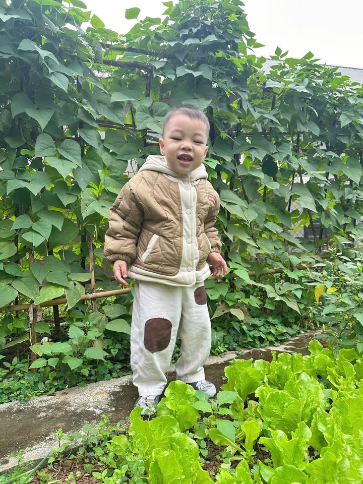 Đất Farm Tây Cốc, Đoan Hùng, Phú Thọ 3000m² - Giá chỉ 900 triệu!