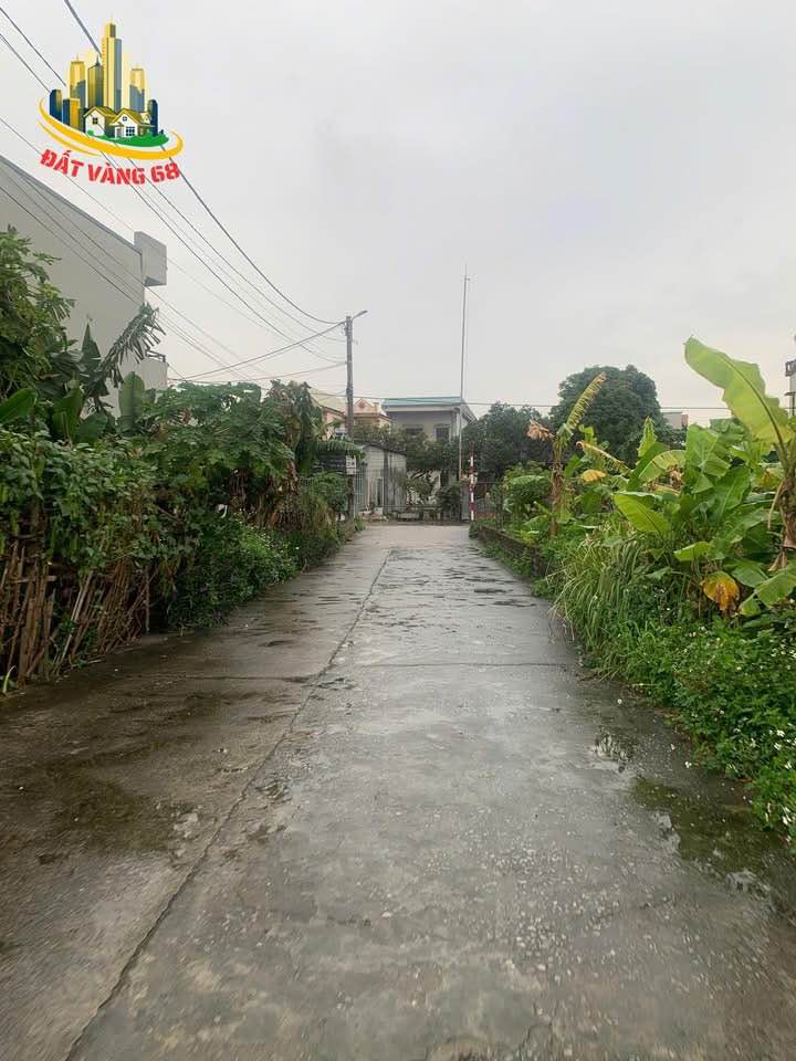 Đất thổ cư phường Nam Hoa Lư, Ninh Bình 138m² - Giá phù hợp cho vợ chồng trẻ!