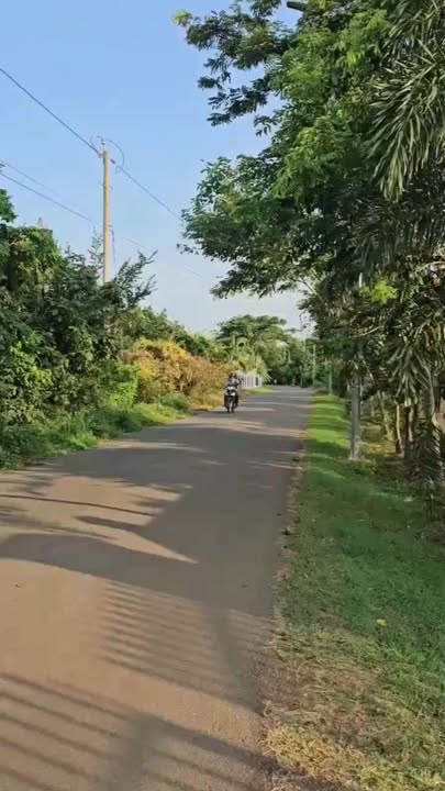 Đất 10 hecta Đá Bạc, Bà Rịa - Vũng Tàu, chỉ 1,5 triệu/m² - Cơ hội đầu tư không thể bỏ lỡ!