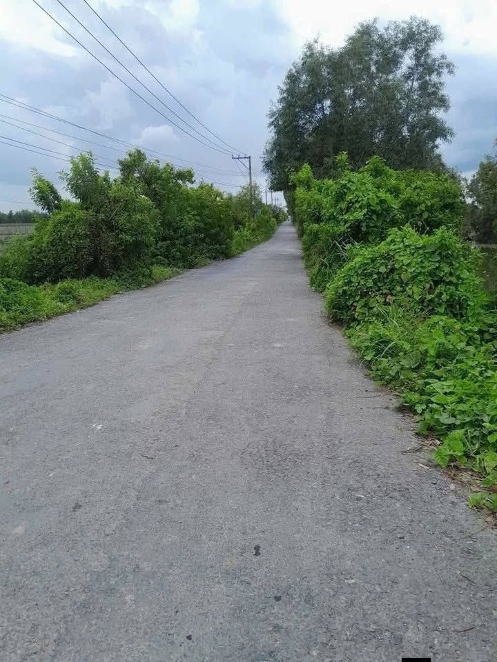 Đất nền 16 công xã Hưng Thạnh, Tân Phước - Giá chỉ 5.28 tỷ, cơ hội đầu tư tuyệt vời!