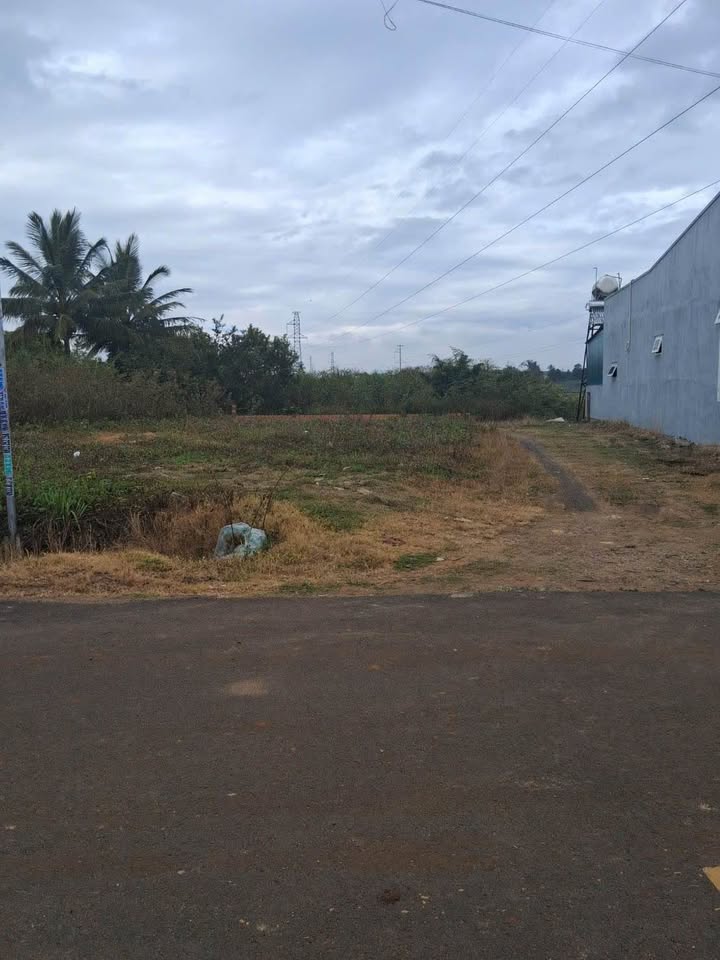 Đất nền Phú Hội Đức Trọng 175m² giá 1.75 tỷ - Đầu tư sinh lời ngay!