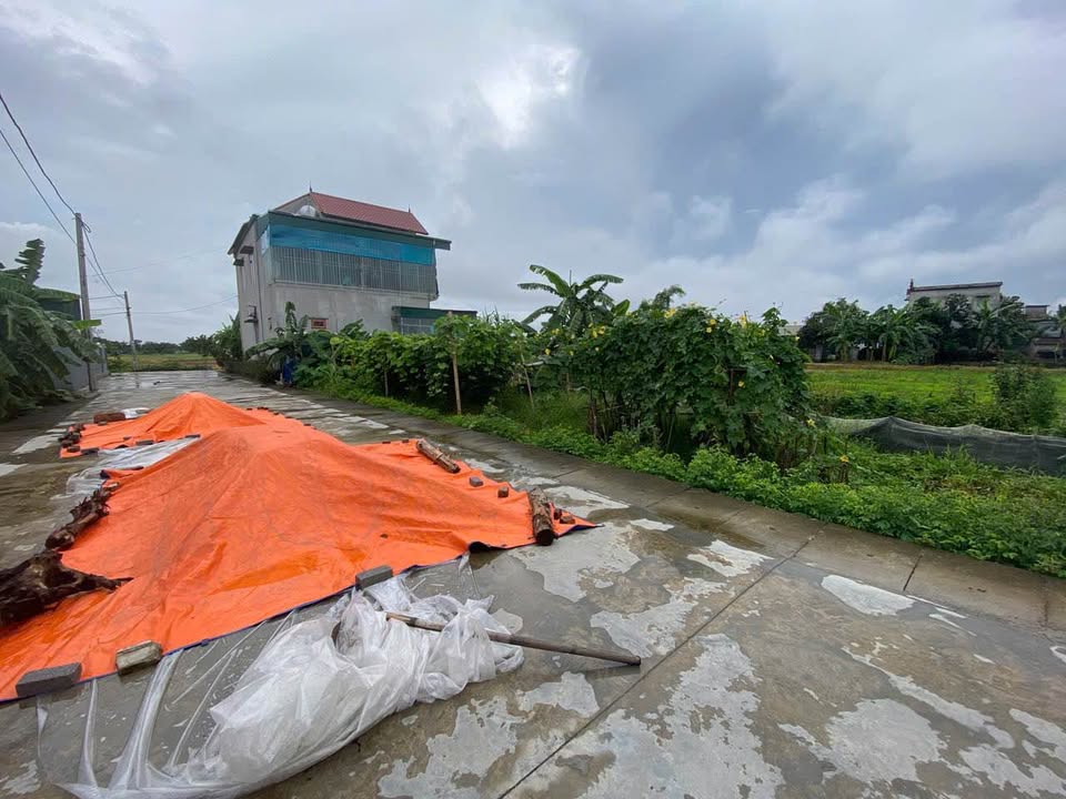 Đất thổ cư Quỳnh Khê, Quỳnh Phụ, Thái Bình 110m² giá 600 triệu - Đất đẹp 2 mặt tiền!