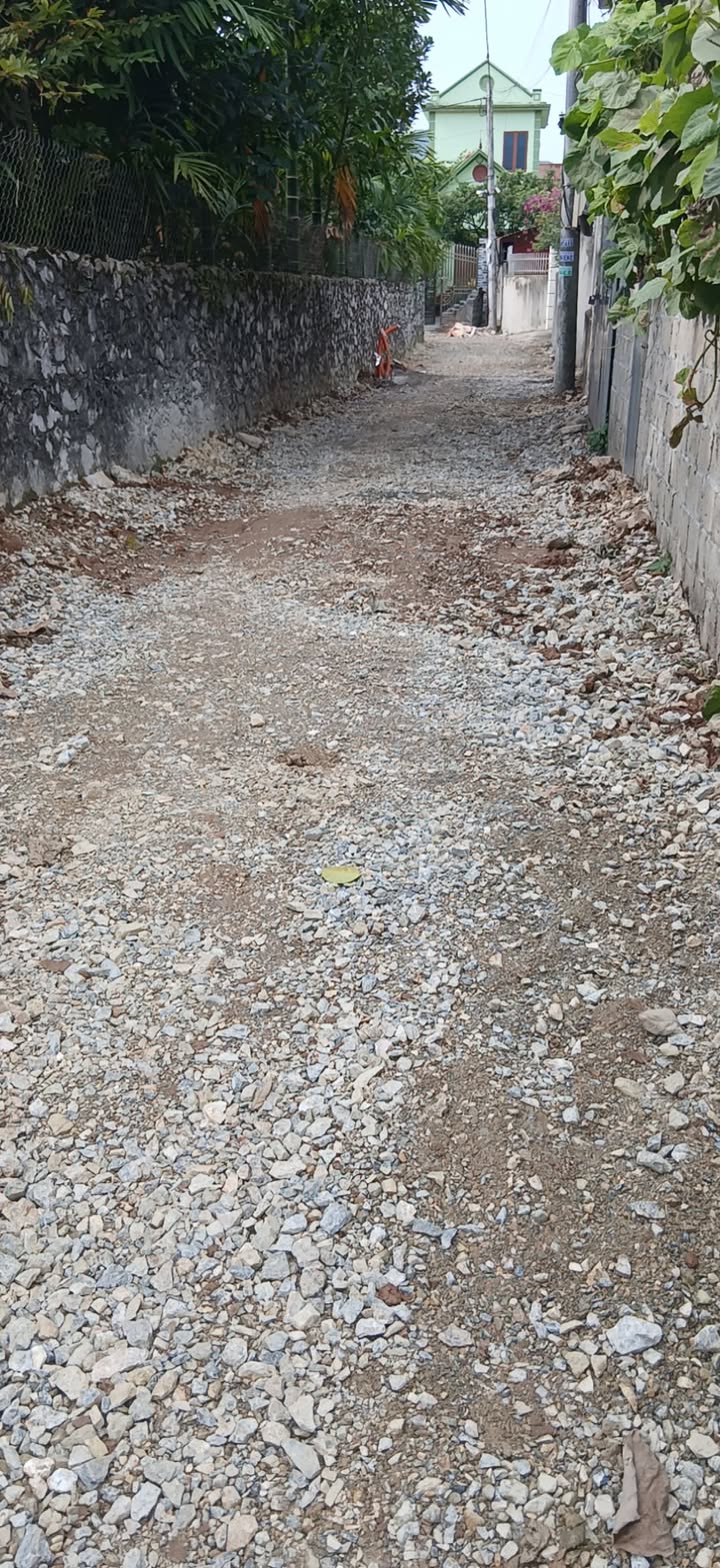 Đất nền Kim Bảng Hà Nam 100m² - Đường ô tô vào tận nơi!