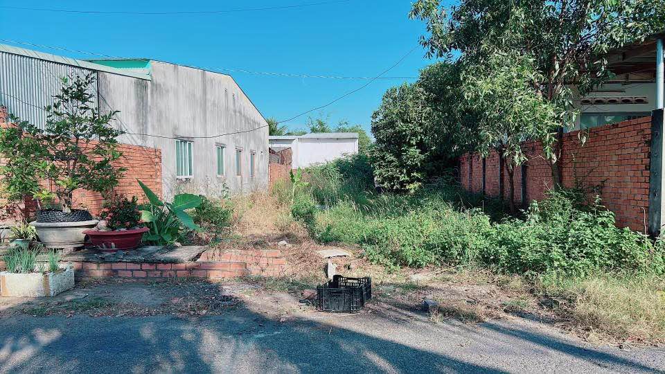 Đất thổ cư 145m² tại Bình Minh, Tây Ninh - Giá chỉ 3.045 tỷ, sổ hồng chính chủ!