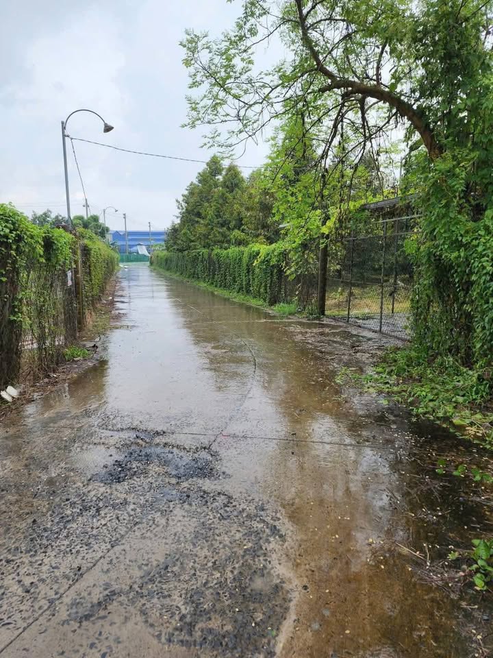 Đất vườn 4000m² tại Hòa Hưng, Cái Bè - Giá gấp 1.75 tỷ VND!