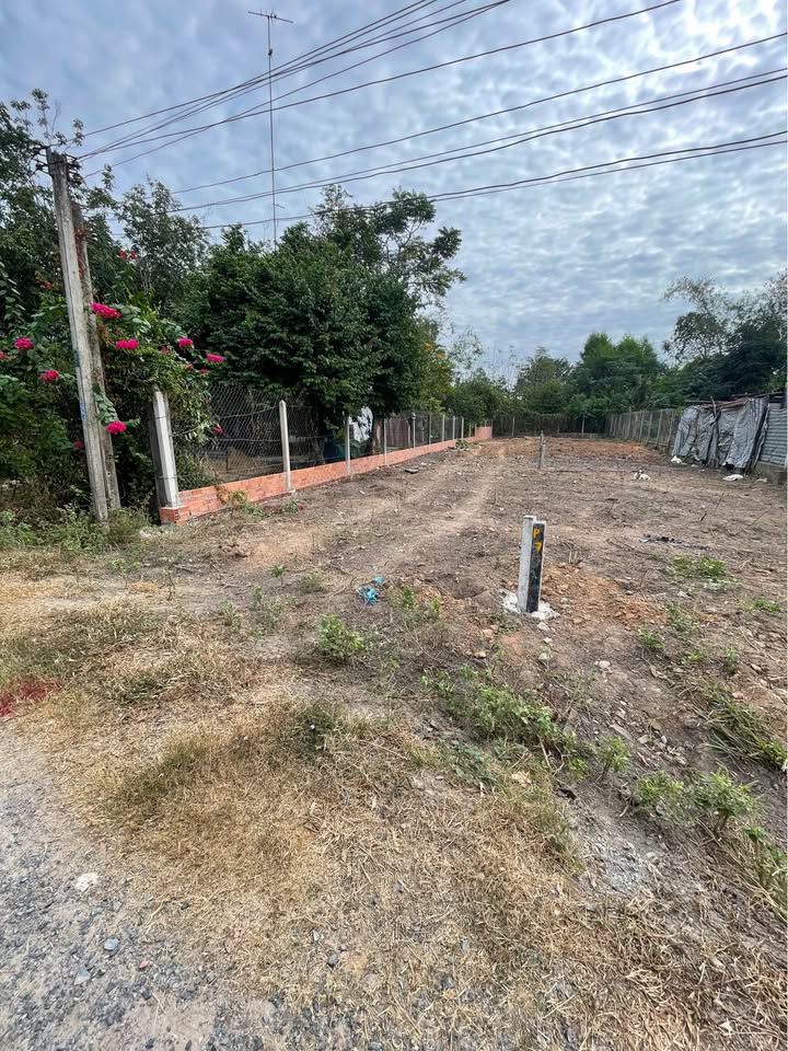 Đất nền ấp Chánh, Hiệp Thạnh, Gò Dầu 270m² - Giá chỉ 450 triệu, xây trọ ngay!