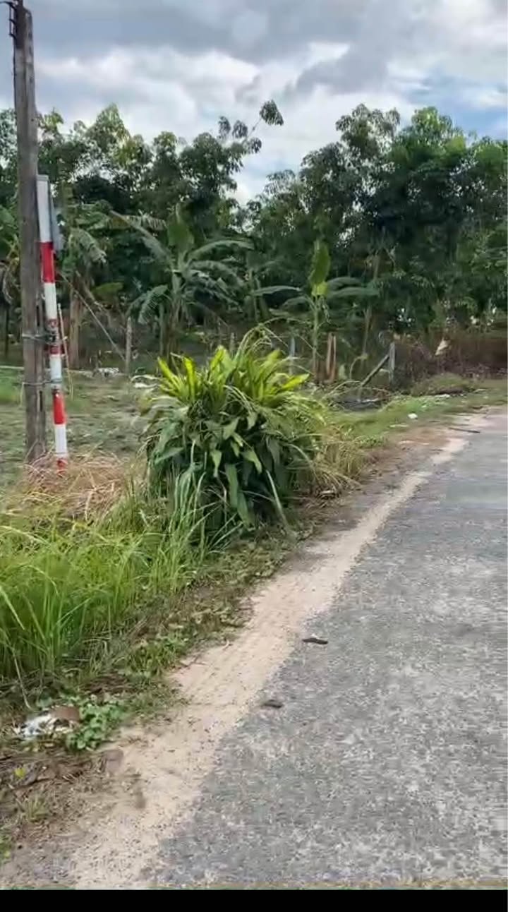 Đất thổ cư mặt tiền đường Tân Lợi, Tân Phú, Tây Ninh 5293m² - Giá chỉ 2.7 tỷ!