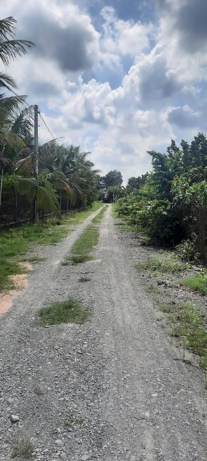 Đất thổ cư Trường Hòa, Hòa Thành 1500m² giá chỉ 110 triệu - Cơ hội đầu tư tuyệt vời!