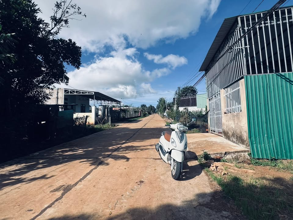 Đất nền mặt tiền Bùi Đình Túy, Pleiku 233m² giá 1.95 tỷ - Đầu tư sinh lời ngay!