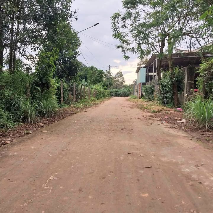 Đất nền Hẻm 250 Tôn Đức Thắng, Biển Hồ 135m² giá 600 triệu - Sổ đỏ chính chủ, đầu tư sinh lời!