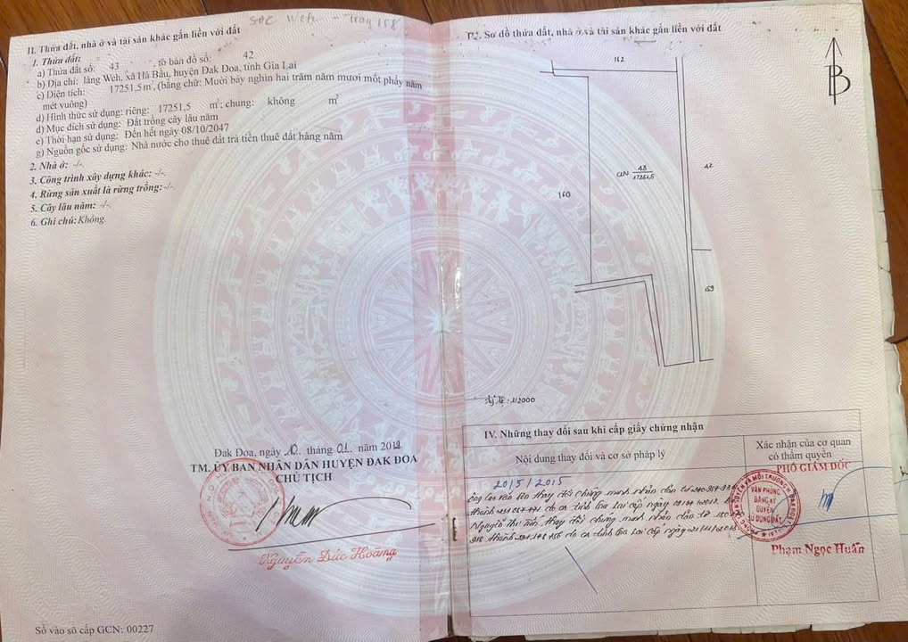 Đất Farm Biển Hồ, Pleiku 16.000m² - Đầu tư sinh lời với vườn cây ăn trái