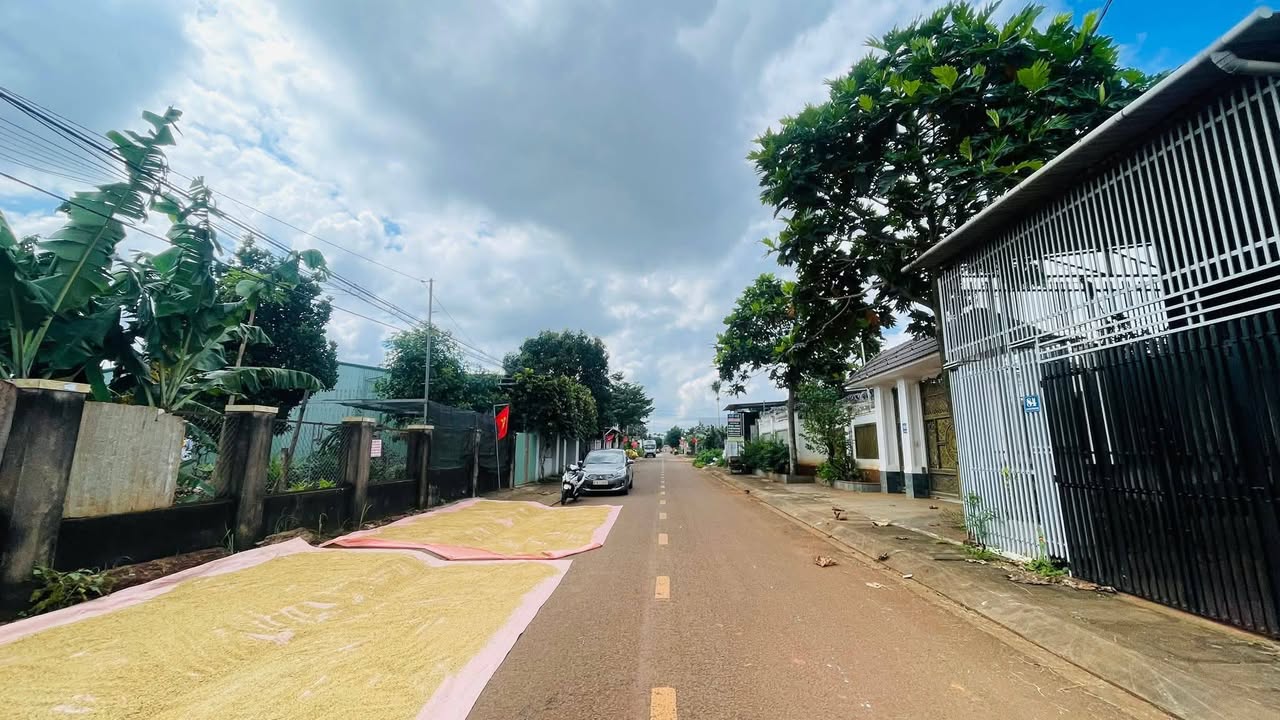 Đất mặt tiền Bà Huyện Thanh Quan, Pleiku 225.5m² giá 2.3 tỷ - Đầu tư sinh lời ngay!