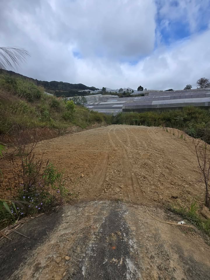 Đất nền 1,9 sào đường Duy Tân, phường Lang Biang - Giá chỉ 1.9 tỷ!