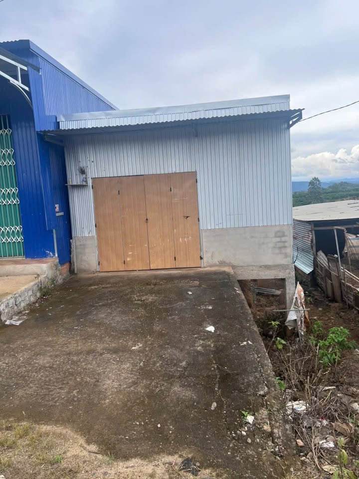 Đất nền Tân Hội, Đức Trọng 300m² giá 1.15 tỷ - Cơ hội đầu tư sinh lời!