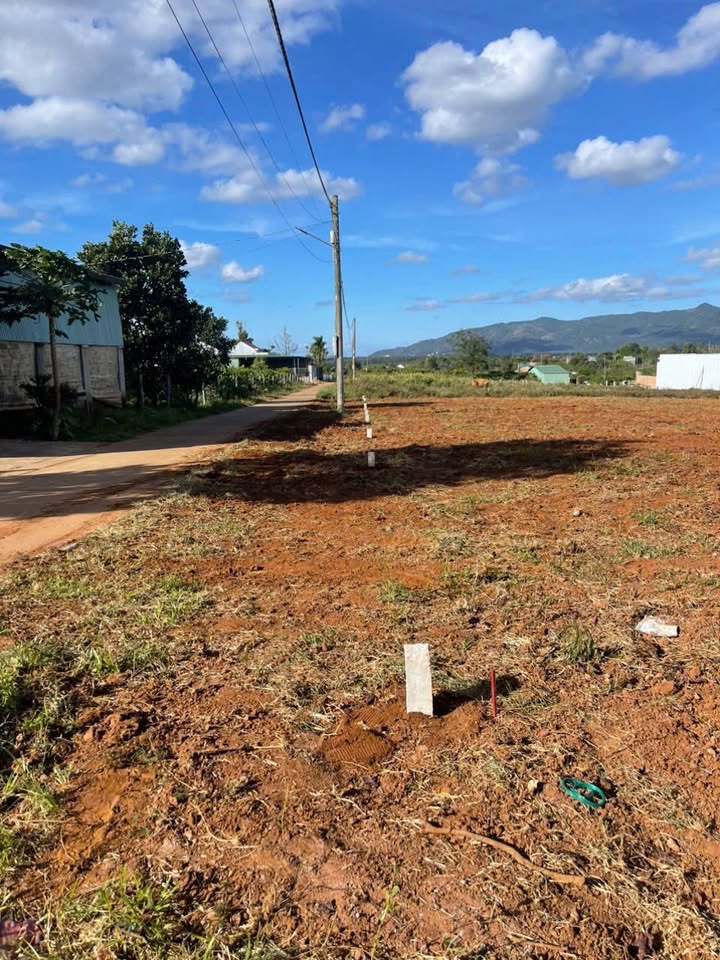 Đất thổ cư 215m² đường Trần Văn Ơn, Pleiku - Giá chỉ 500 triệu!