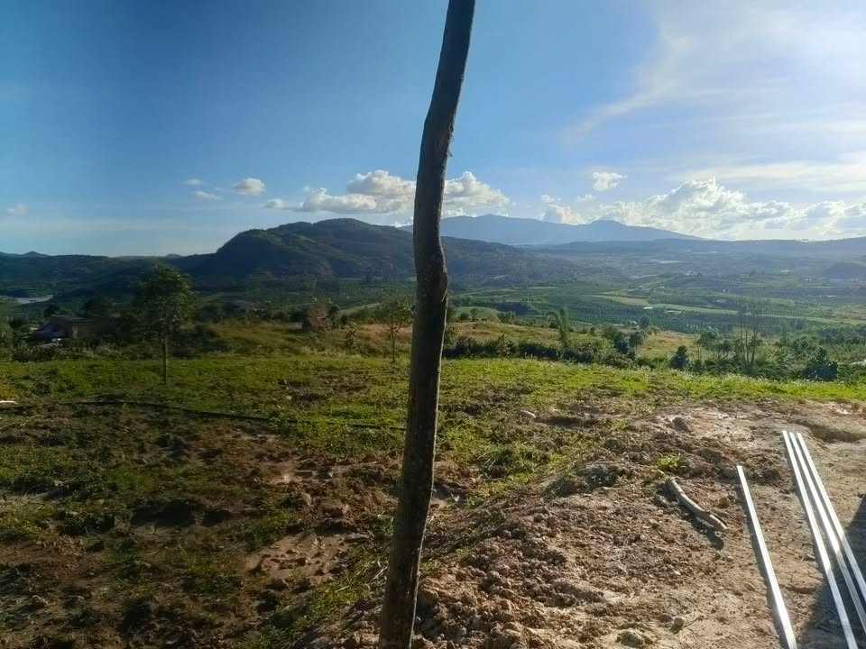 Đất trống Đan Phượng 7000m² giá 1.155 tỷ - Không dính quy hoạch!