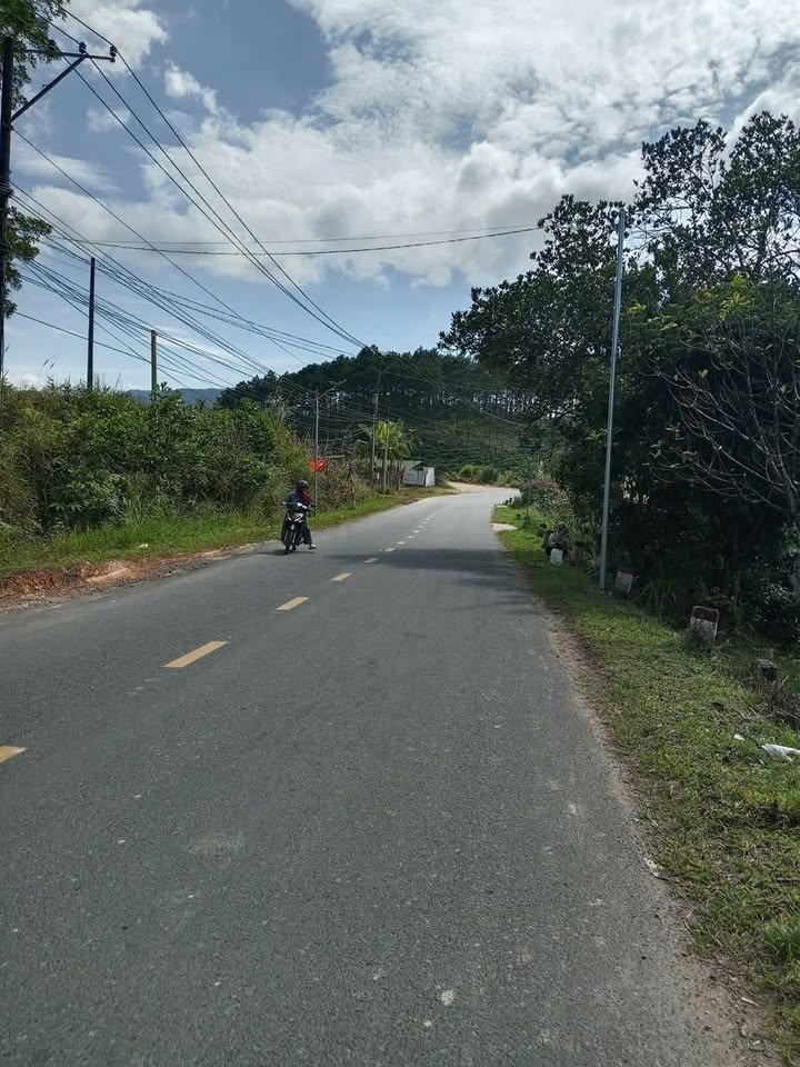 Đất nền 8 sào tại Quốc lộ 27, Phi Liêng, Đam Rông - Giá chỉ 5 tỷ VND, sổ đỏ chính chủ!