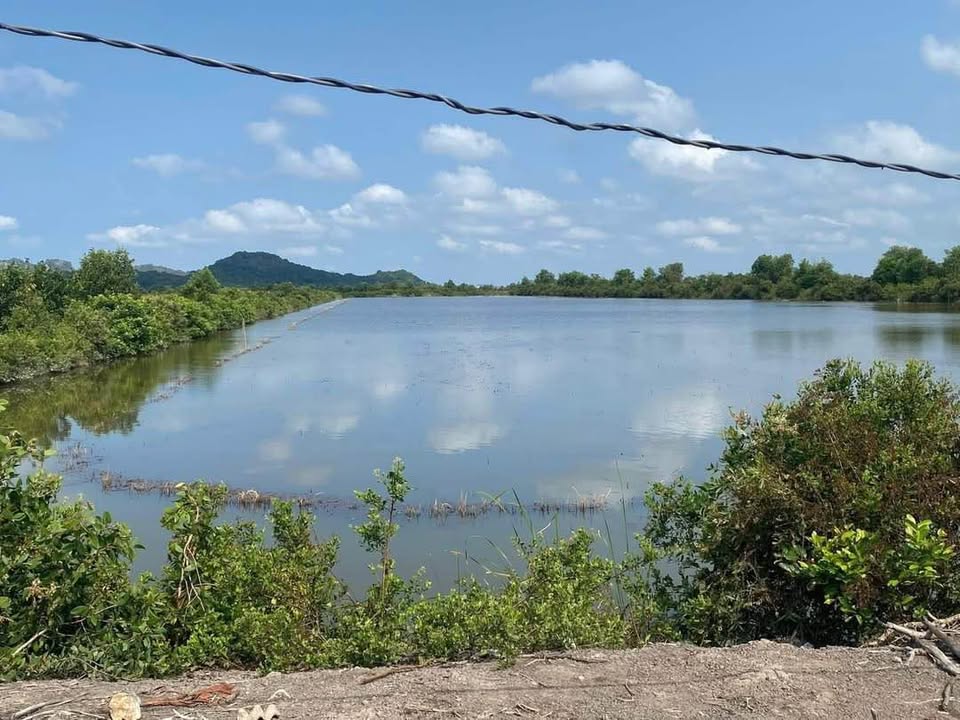 Đất Farm 47 công tại Xã Bình Trị, Kiên Lương, Kiên Giang - Mặt tiền kênh lớn, giá thỏa thuận!