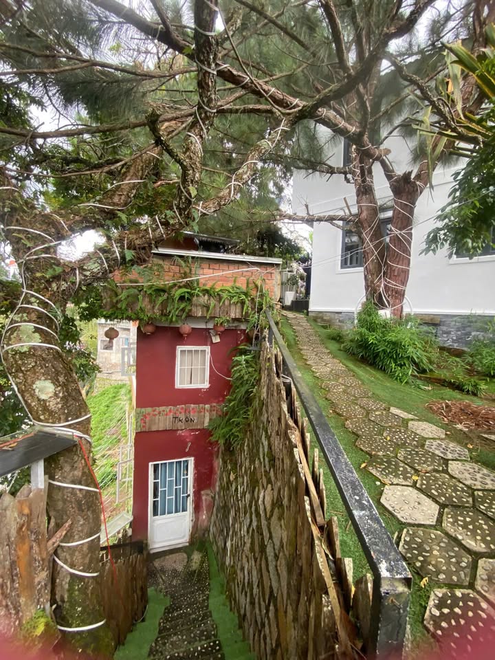 Homestay cho thuê Lê Hồng Phong Đà Lạt 400m² - Đầy đủ tiện nghi cho kỳ nghỉ dưỡng!