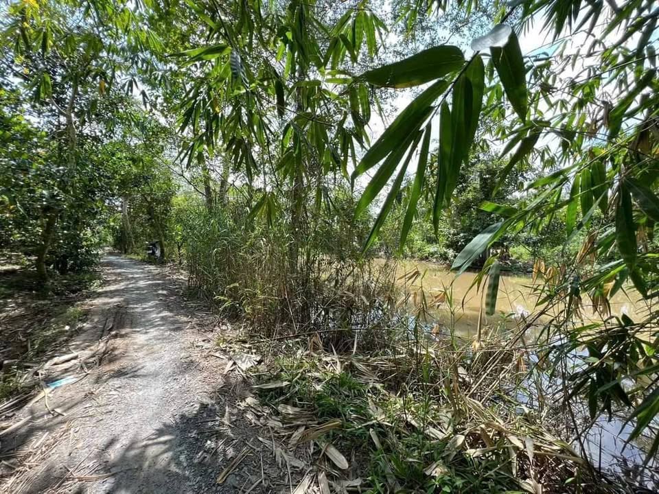 Đất nền mặt tiền xã Mỹ Thọ, huyện Cao Lãnh 692m² giá chỉ 800 triệu - Cơ hội đầu tư tuyệt vời!