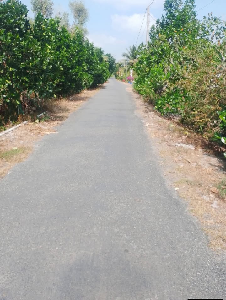 Đất vườn Tân Hội Trung 900m² giá 900 triệu - Sổ đỏ chính chủ, mặt tiền rộng!