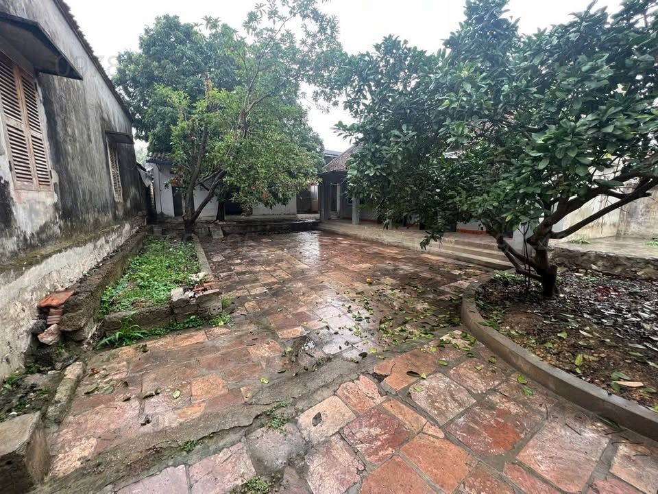 Đất nền Nam Phương Tiến, Chương Mỹ 257m² - Lô góc 2 mặt thoáng, tiềm năng phát triển!