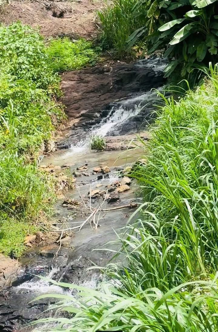 Đất nền 3 sào mặt tiền đường Đinh Núp, Buôn Hồ, Đắk Lắk - Giá chỉ 1.95 tỷ!