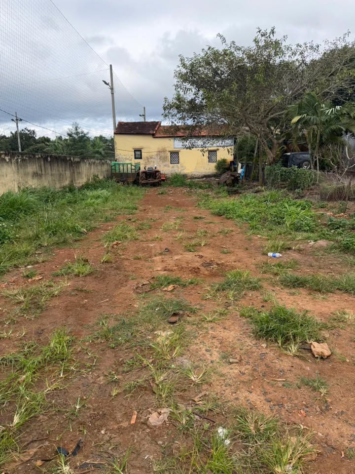 Đất nền An Dương Vương, An Bình 140m² giá 6.999 tỷ - Cơ hội đầu tư hấp dẫn!