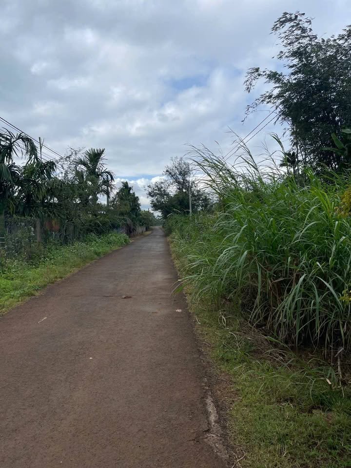 Đất vườn 4129,6m² Ea Blang chỉ 800 triệu - Cơ hội đầu tư hấp dẫn!