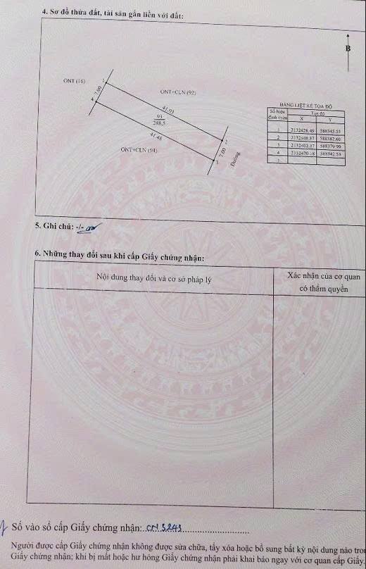 Bán đất xóm 5 Quỳnh Thắng 294m² giá 300 triệu - Đường chính rộng rãi, giao thông thuận lợi!