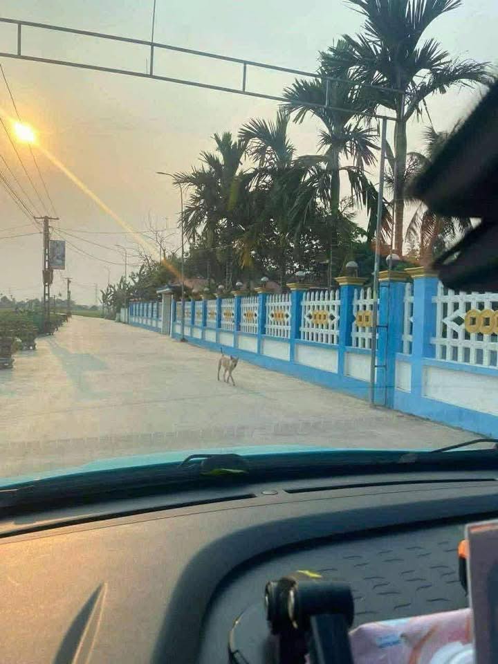 Đất thổ cư Xuân Thắng, Quảng Xương 251m² giá chỉ 500 triệu - Cơ hội đầu tư hấp dẫn!