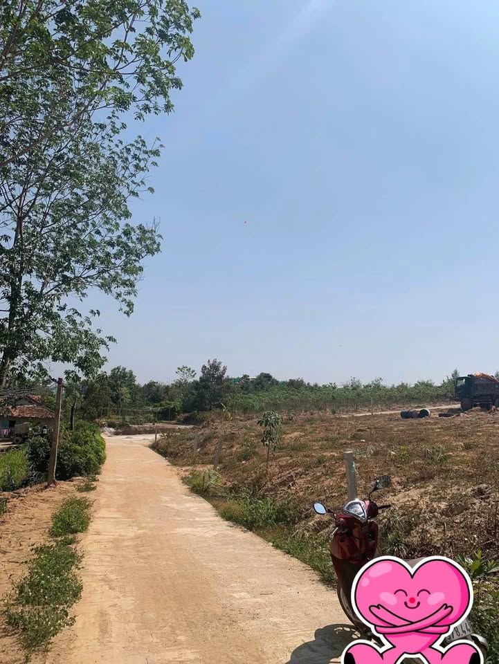 Đất thổ cư Chư Hreng 200m² giá 295 triệu - Cơ hội đầu tư tuyệt vời!