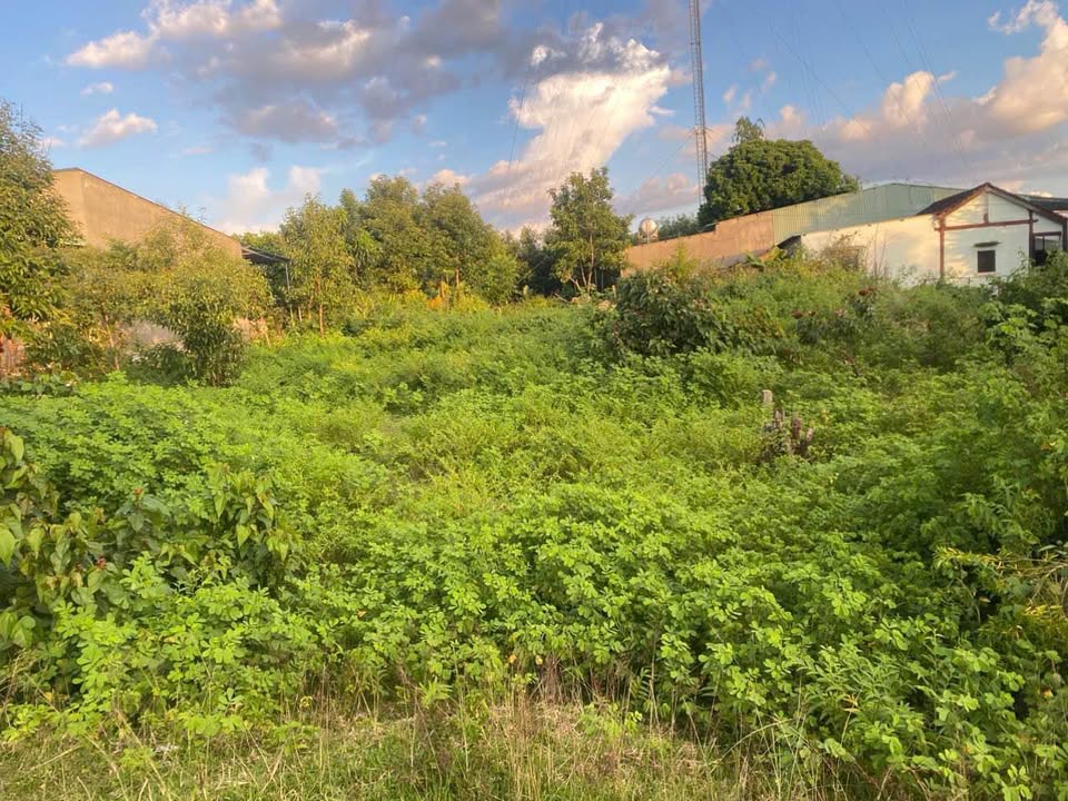 Lô đất thổ cư 240m² tại thôn Kon Hring, xã Đăk Blà giá 700 triệu - Cơ hội vàng đầu tư!