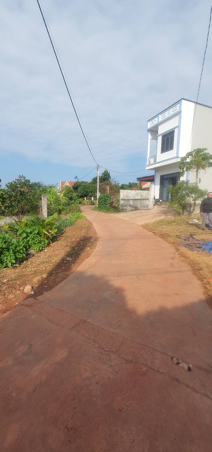 Đất 2 mặt tiền thôn Mẫu Sơn, xã Chu Điện, 266.8m² giá chỉ 1.1 tỷ - Đầu tư sinh lời ngay!