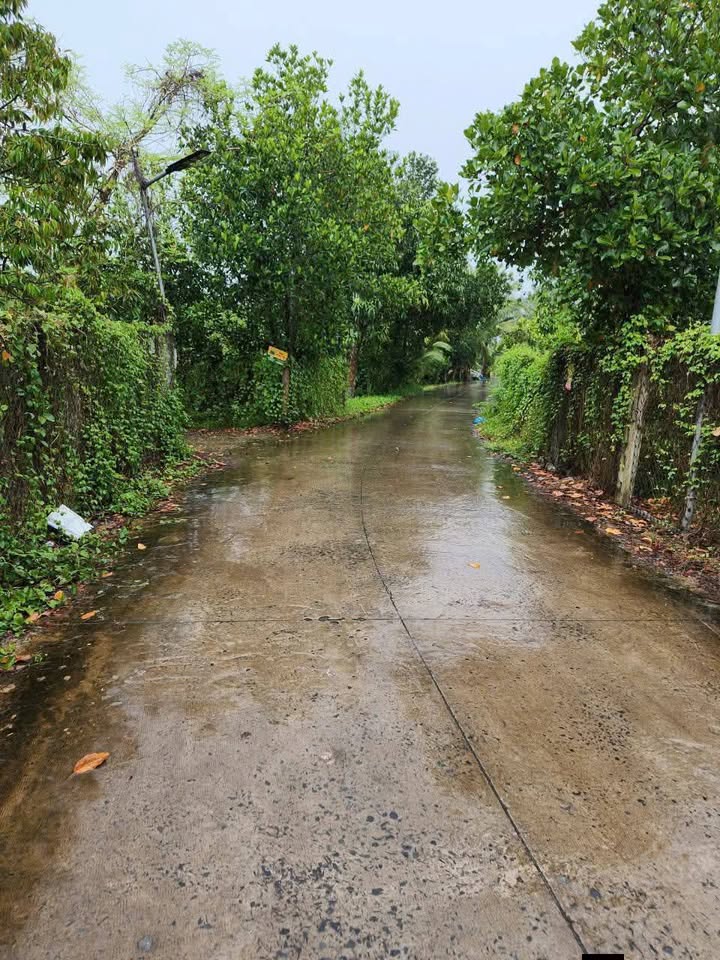 Đất vườn 4000m² tại ấp Hòa, xã Hòa Hưng, giá 1.75 tỷ - Cơ hội đầu tư không thể bỏ lỡ!