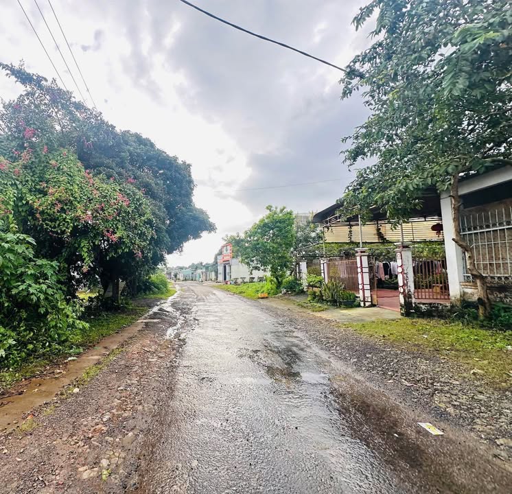 Đất nền mặt tiền Lê Văn Hưu, Pleiku 300m² - Tiềm năng kinh doanh cực tốt!