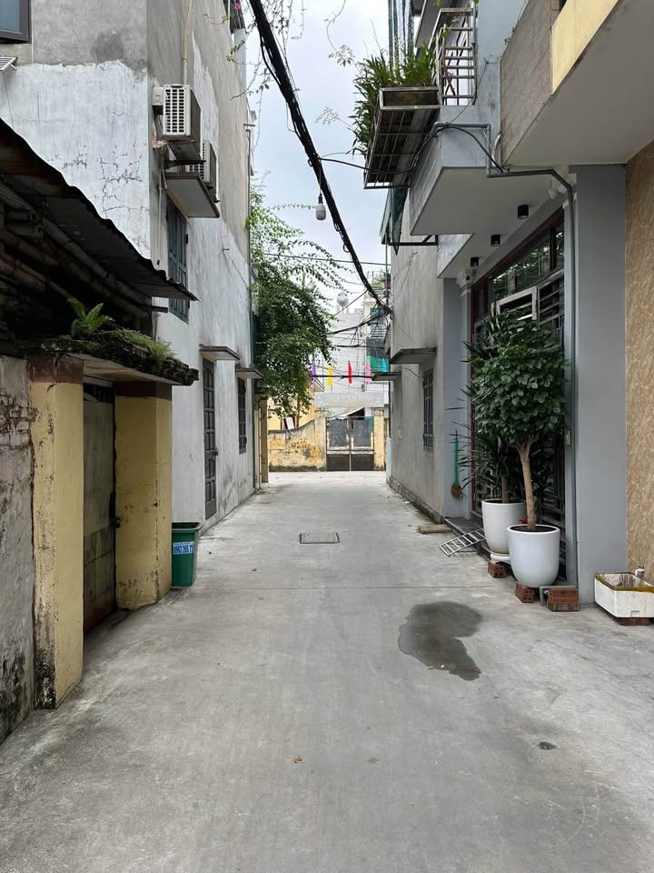 Đất Trần Lãm Thái Bình 67m² - Ngõ ô tô thông thoáng, giá tốt!