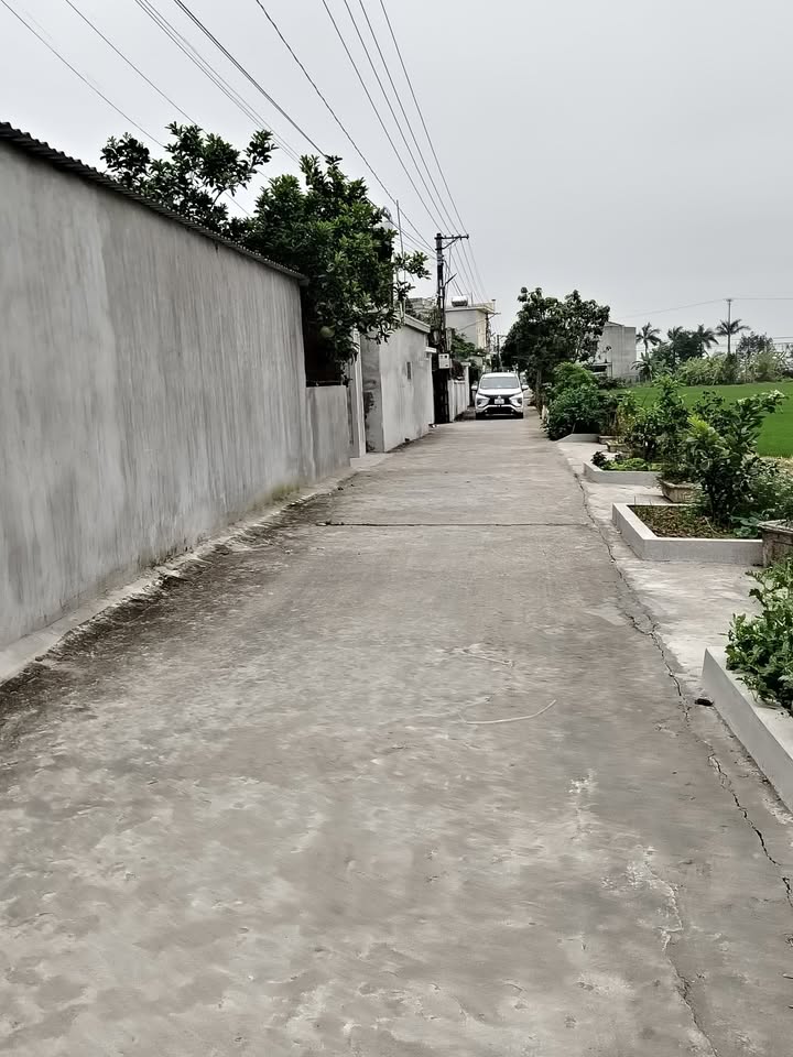 Đất nền Tự Tân Vũ Thư 232m² giá thỏa thuận - Hướng Bắc tài lộc, đầu tư sinh lời!