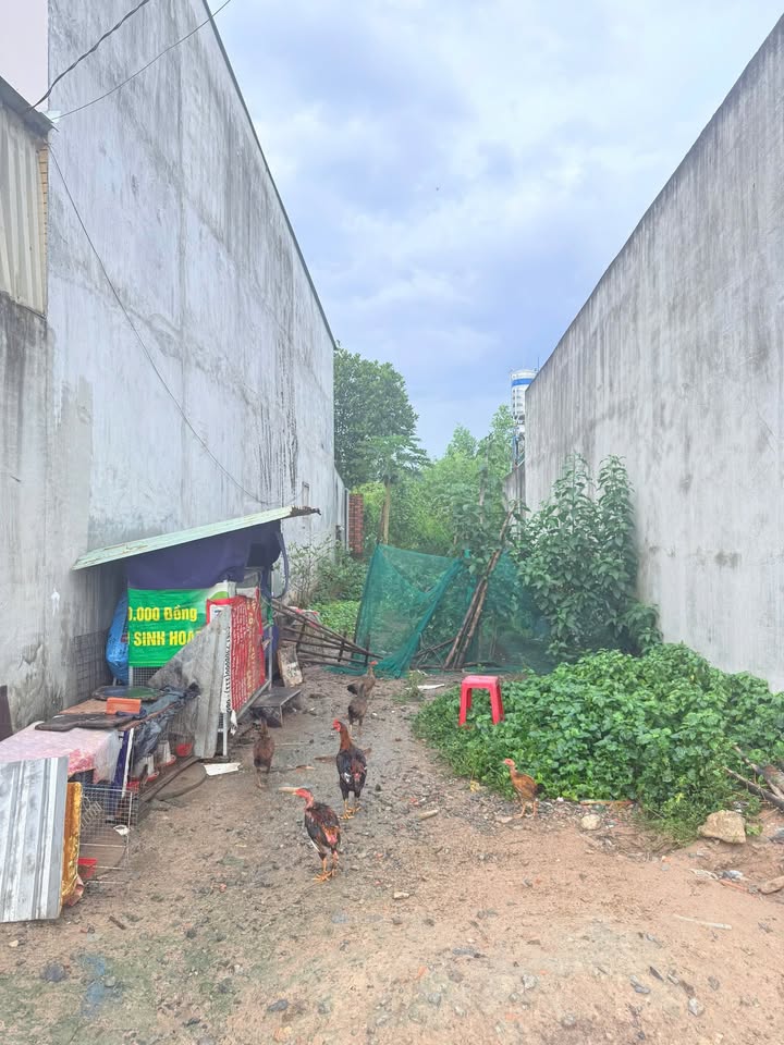 Đất ấp 5 Long Thọ 110m² giá 1.4 tỷ - Đầu tư sinh lời ngay!