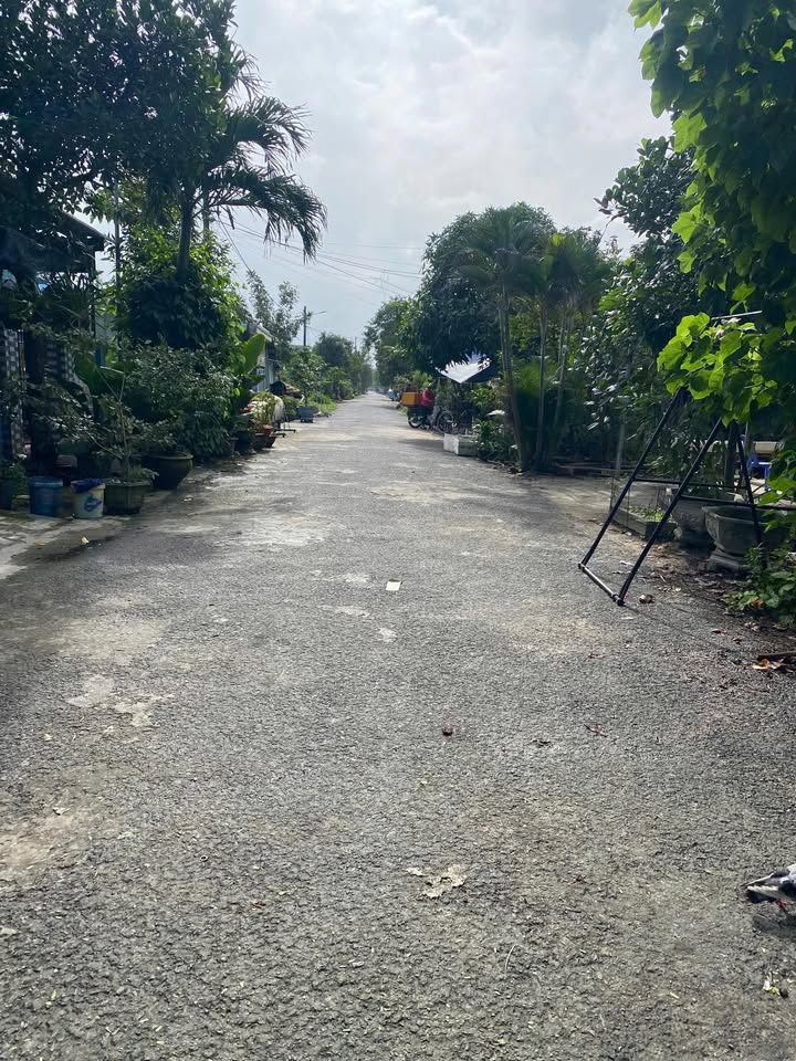 Đất Bến Trễ Hội An 98m² giá 2.1 tỷ - Mặt tiền đường nhựa 10m!