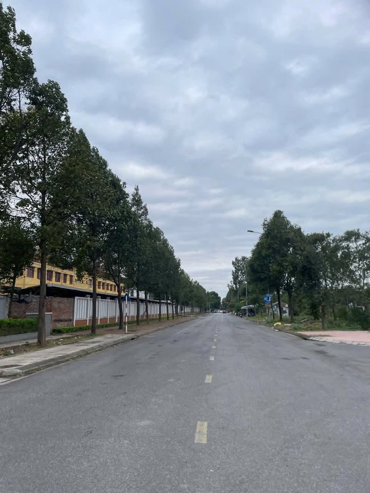 Đất tặng nhà 3 tầng và dãy 5 phòng trọ tại Đại Phúc Bắc Ninh 272.4m² - Đầu tư sinh lời ngay!