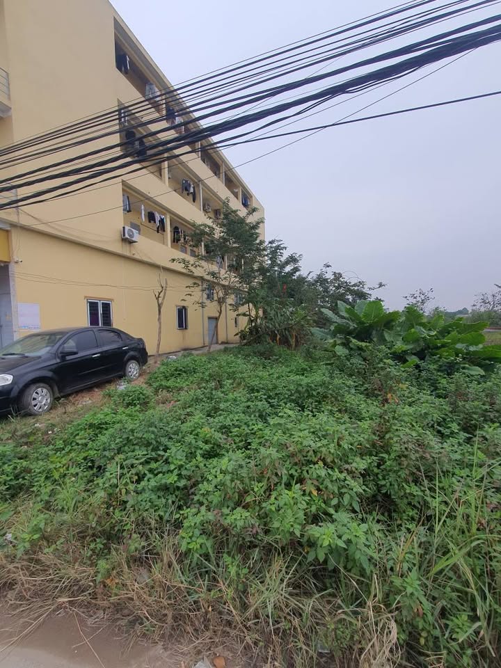 Đất nền Yên Giả Quế Võ 150m² giá thỏa thuận - Đầu tư kinh doanh hiệu quả!