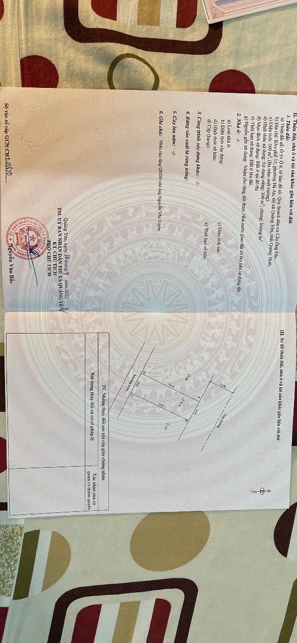 Đất nền Hồng Phong, Hà An 300m² - Cơ hội đầu tư sinh lời!