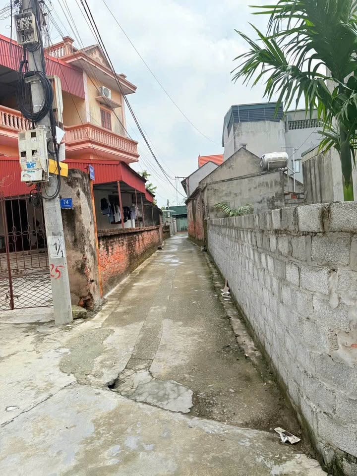 Đất nền Việt Hòa Hải Dương 77m² giá chỉ 1.xxx triệu - Cơ hội đầu tư không thể bỏ lỡ!