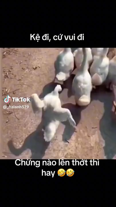 Đất thổ cư Đoàn Thượng, Gia Lộc 120m² giá mềm - Đầu tư sinh lời hấp dẫn!